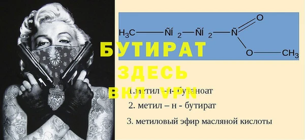 индика Аркадак