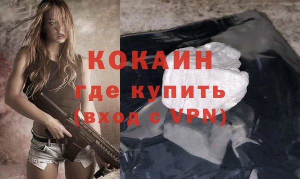 индика Аркадак