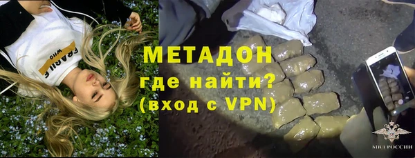 индика Аркадак