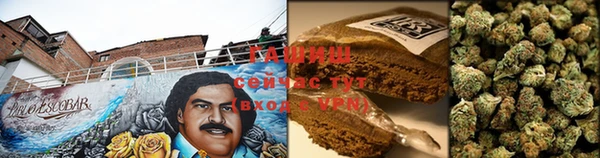 индика Аркадак